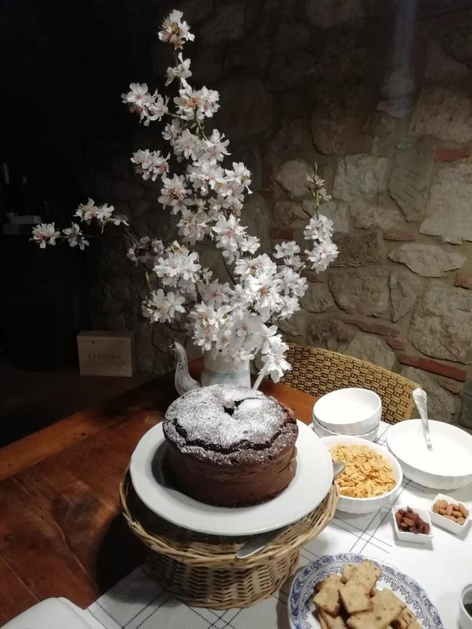 Bed and Breakfast Poesia 74 Rosignano Marittimo Esterno foto